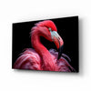 Flamingo Glass Wall Art by Insigneart USA