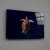 Tortoise Glass Wall Art by Insigneart USA