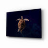 Tortoise Glass Wall Art by Insigneart USA