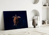 Tortoise Glass Wall Art by Insigneart USA